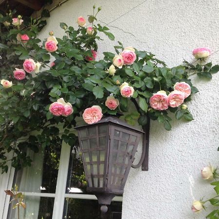 Le Petit Val Rose Villa Villennes-sur-Seine Exteriör bild
